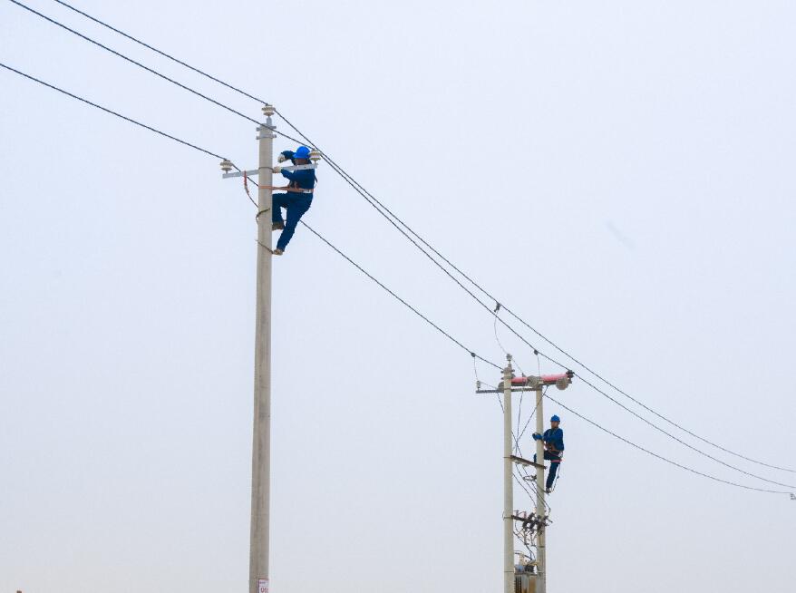 阿拉善供電公司：電網(wǎng)健康“體檢”，從登桿開始