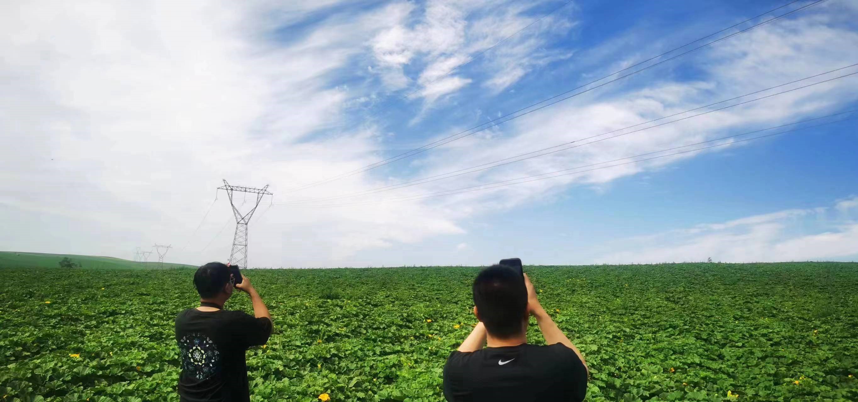 四子王輸變電管理處：防外力破壞，助安全運(yùn)行