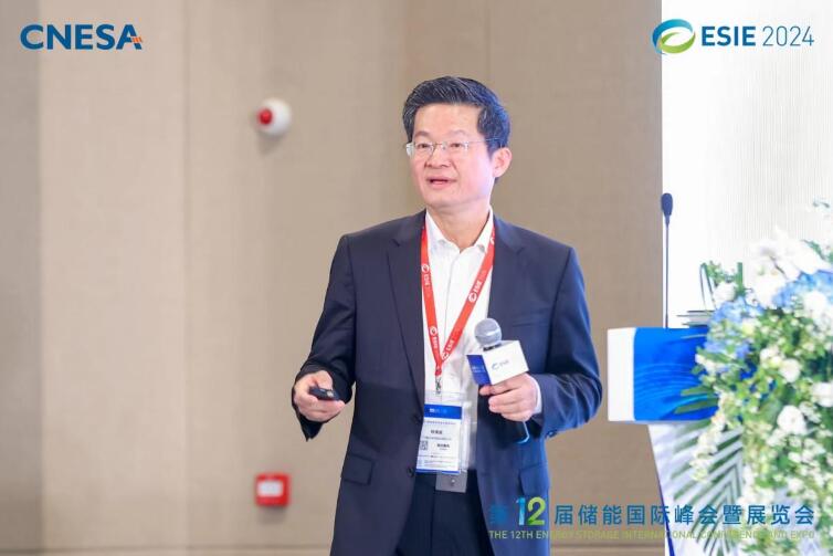 林澤波：儲能企業(yè)出海不是價格競爭，而是以定制優(yōu)質產(chǎn)品和服務實現(xiàn)可持續(xù)發(fā)展