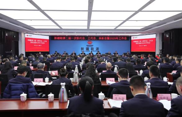 國能新疆能源召開二屆一次職代會、工代會、表彰會暨2025年工作會