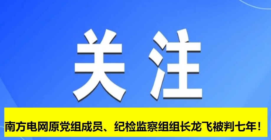 南方電網(wǎng)原黨組成員、紀檢監(jiān)察組組長龍飛被判